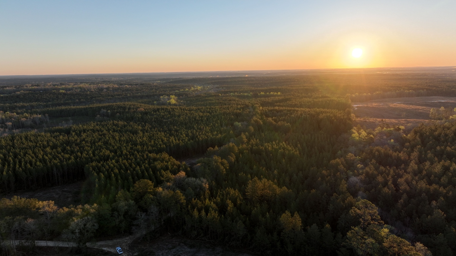 Sunrise over a mixed-pine timber sale tract in East-Central Mississippi